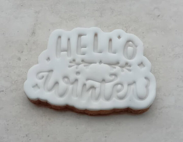 Mooie cookie cutter in het thema winter.